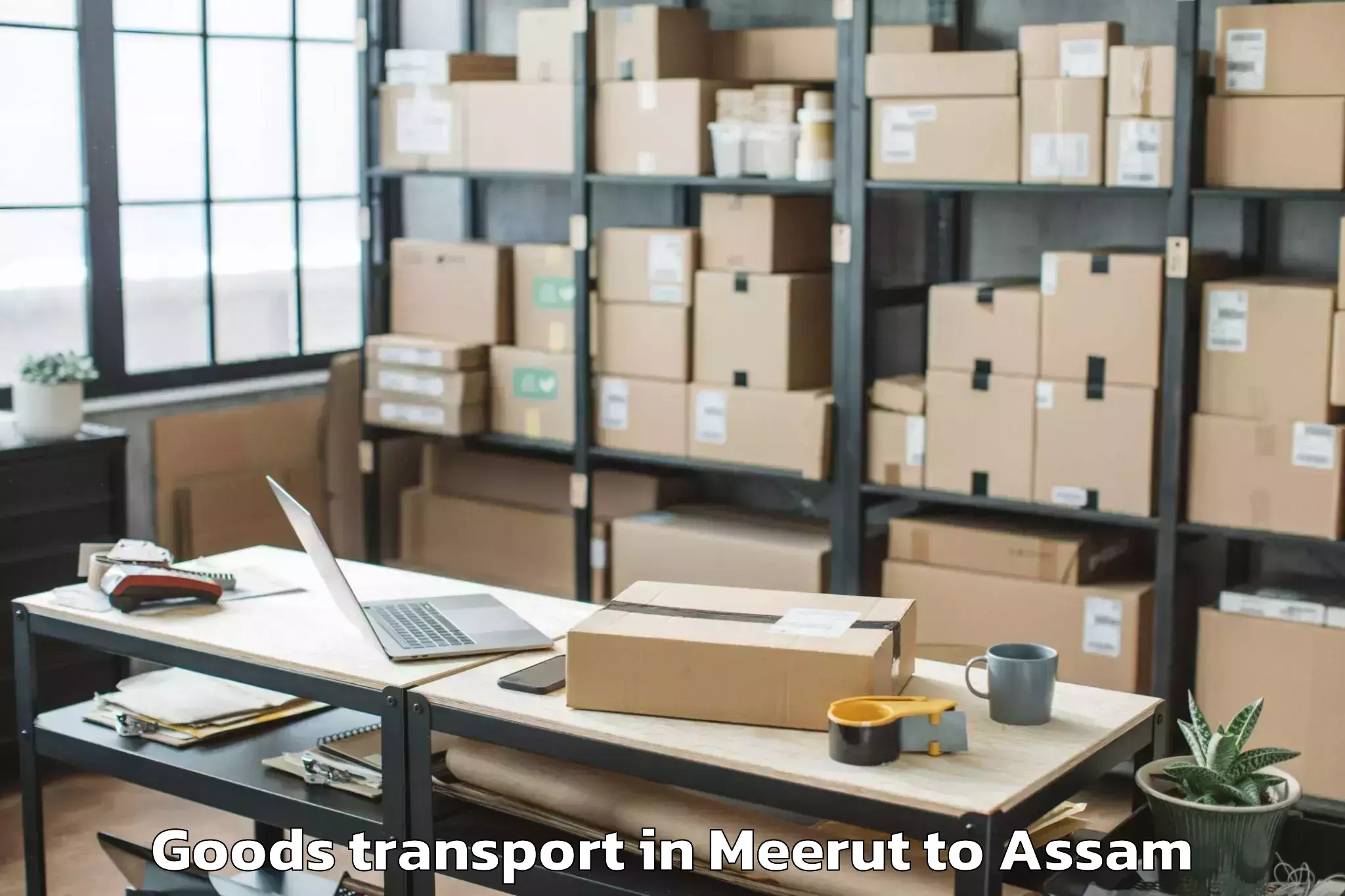 Book Your Meerut to Naharkatiya Goods Transport Today